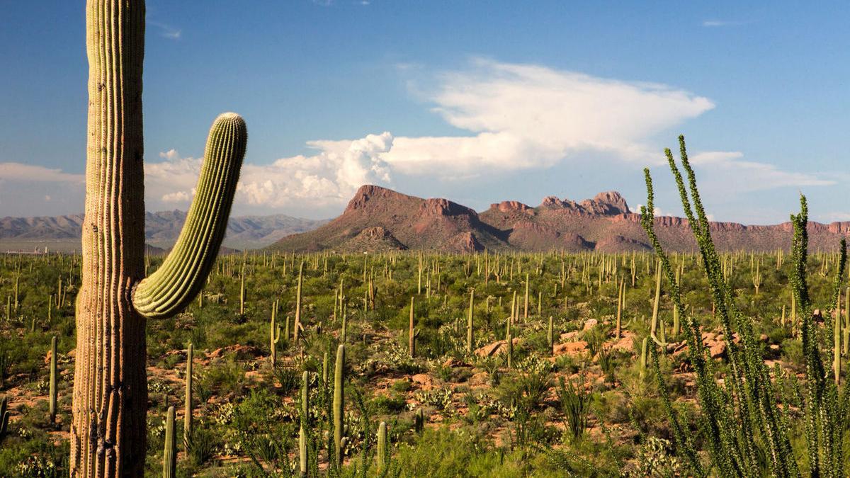 Finance website says Arizona is the 9th best state for retirement